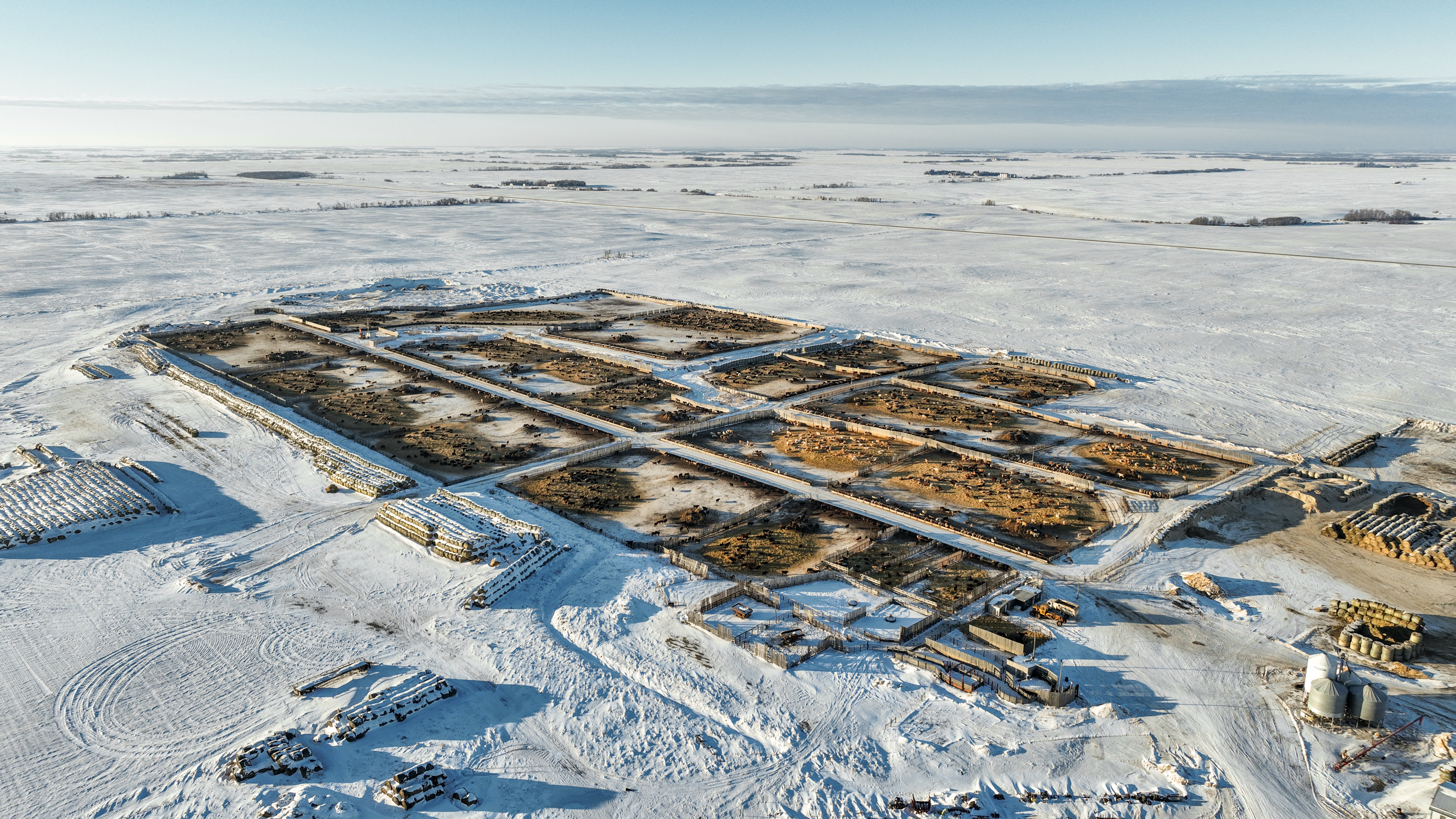 Dobson Feedlot aerial